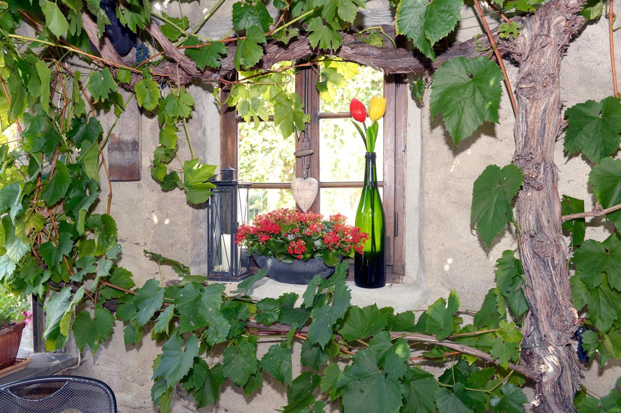 Wein- Und Gaestehaus M. Bai メセニヒ エクステリア 写真